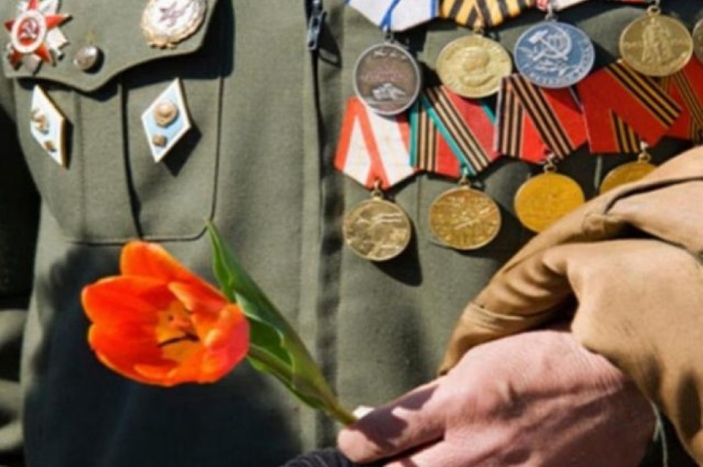 Какую поддержку окажут ветеранам в год 80-летия Победы, рассказали в Минтруда