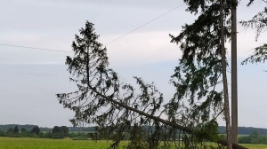 Полоцкие энергетики восстанавливают электроснабжение в 175 пострадавших от непогоды населенных пунктах