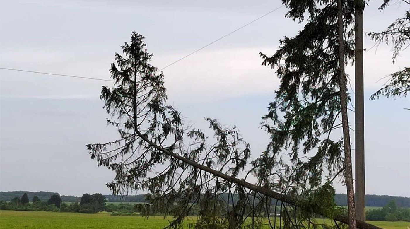 Полоцкие энергетики восстанавливают электроснабжение в 175 пострадавших от непогоды населенных пунктах