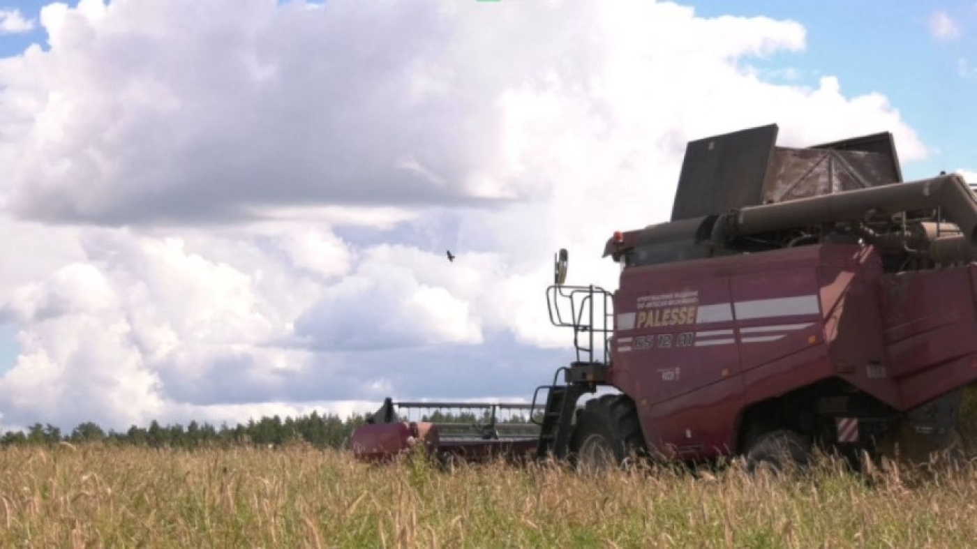 Профилактика правонарушений в период посевной кампании