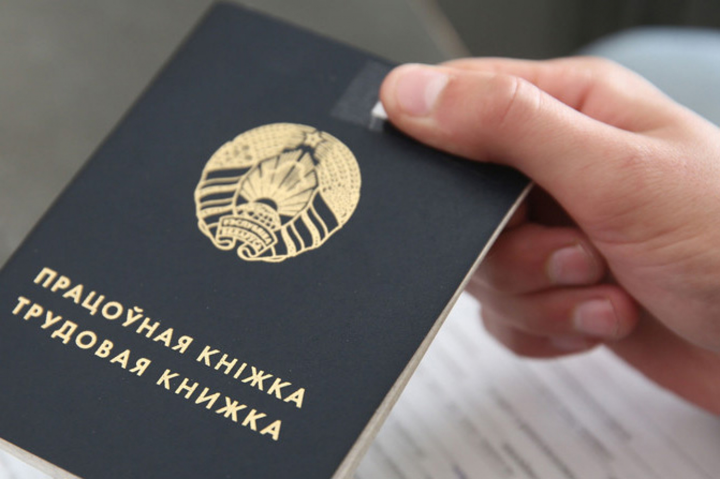 Заседания комиссии по координации работы по содействию занятости населения