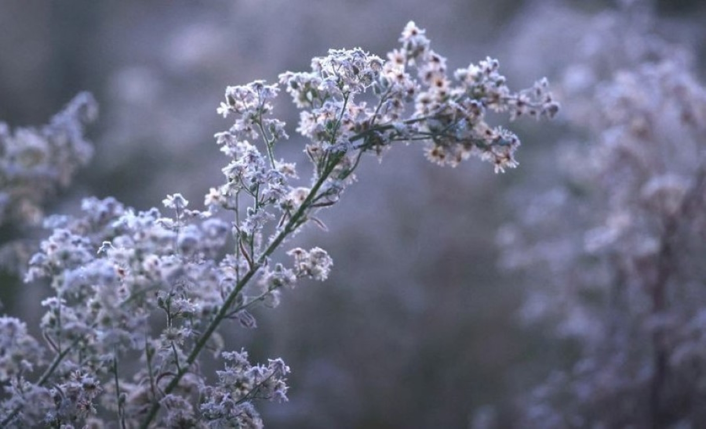 Какой будет погода в первые выходные октября, рассказали синоптики