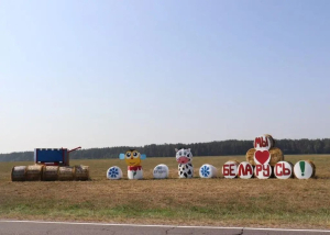 В Минской области стартовало голосование за лучшую соломенную конструкцию!