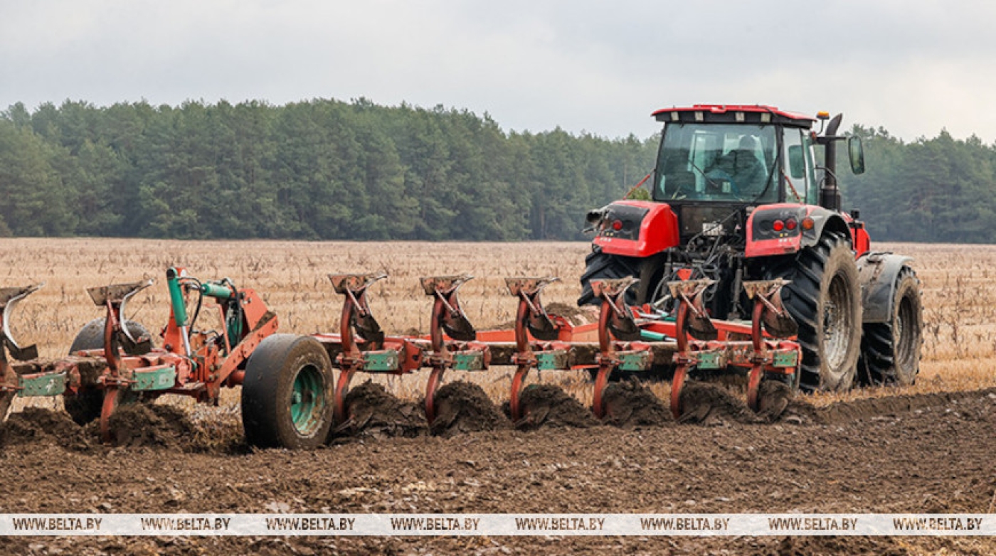 В Беларуси ранние яровые зерновые и зернобобовые посеяны на 54,1 тыс. га