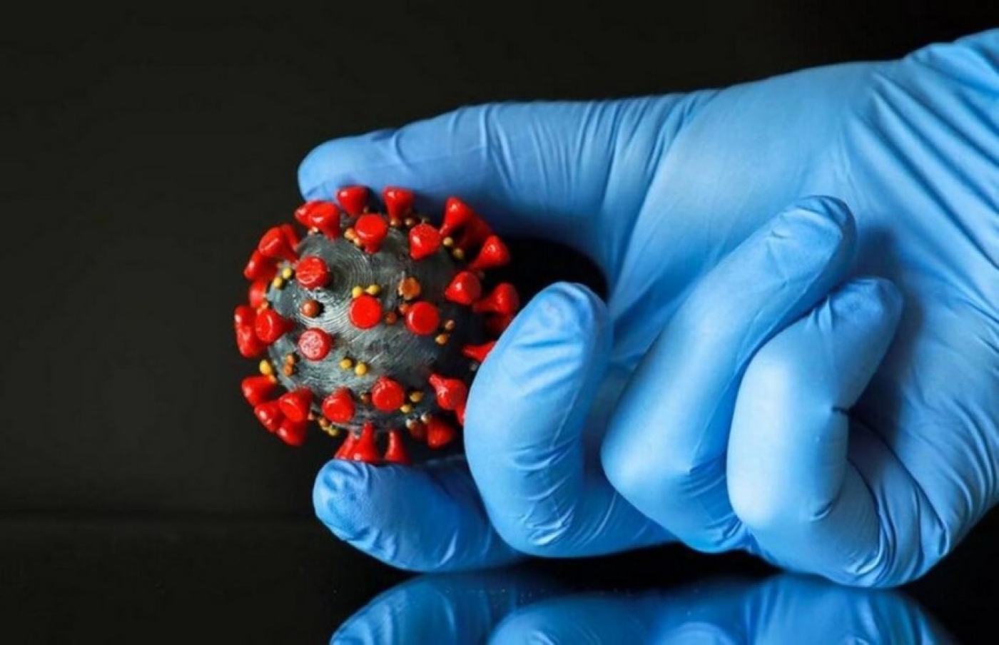 В Беларуси говорят о новом коронавирусе «Стратус»: стоит ли бояться?