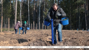 Помощь родному лесу. Члены Совета Республики приняли участие в акции "Лес! Дабро! Парадак!" в Столбцовском районе