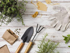 Лунный календарь садовода и огородника на февраль