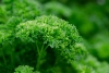 Узнали, какие продукты необходимо включить в рацион для активного синтеза коллагена