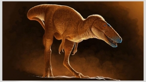 Исследователи обнаружили новый вид тираннозавра, жившего миллионы лет назад