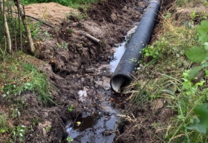 В реку сливают отходы?