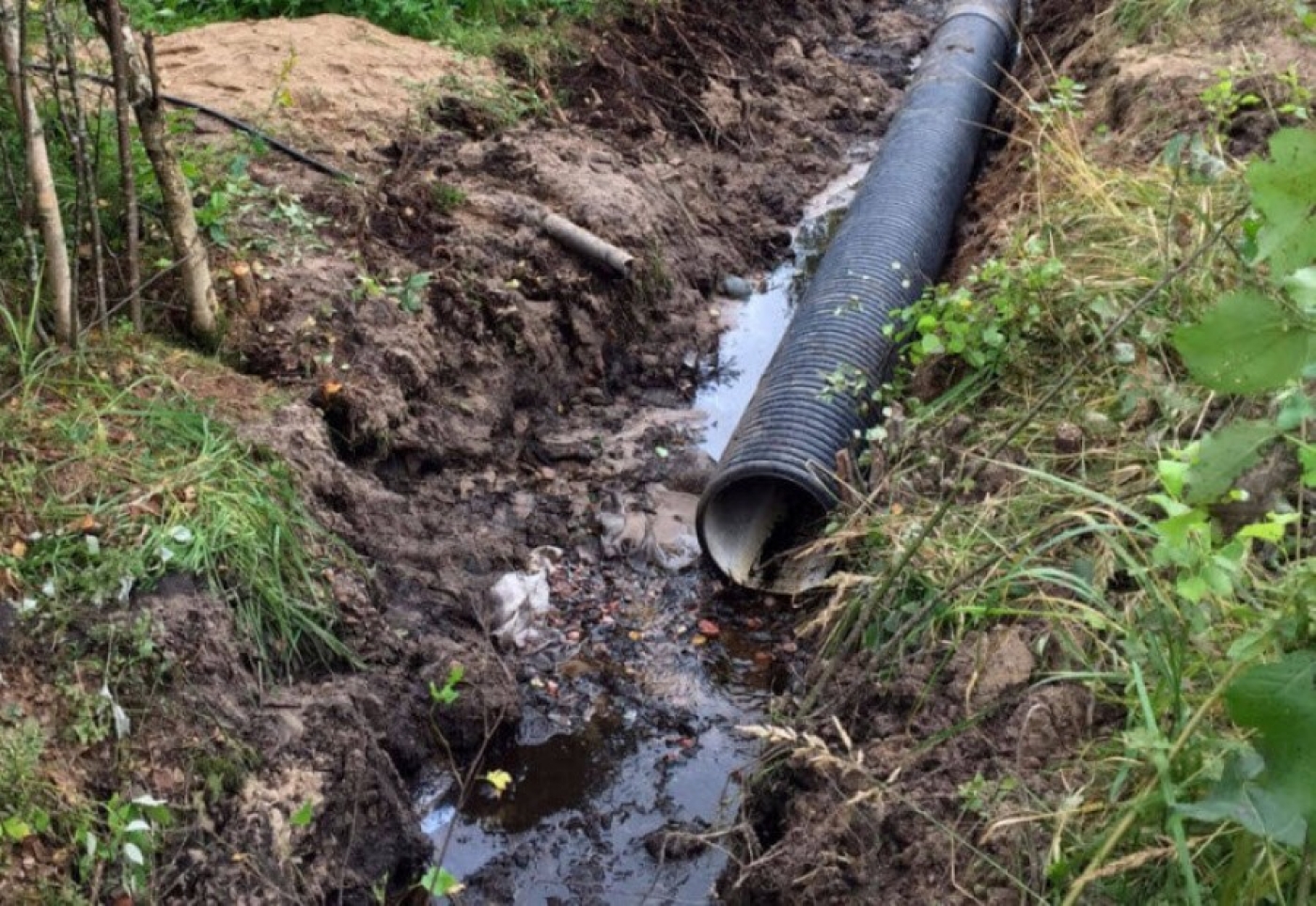 В реку сливают отходы?