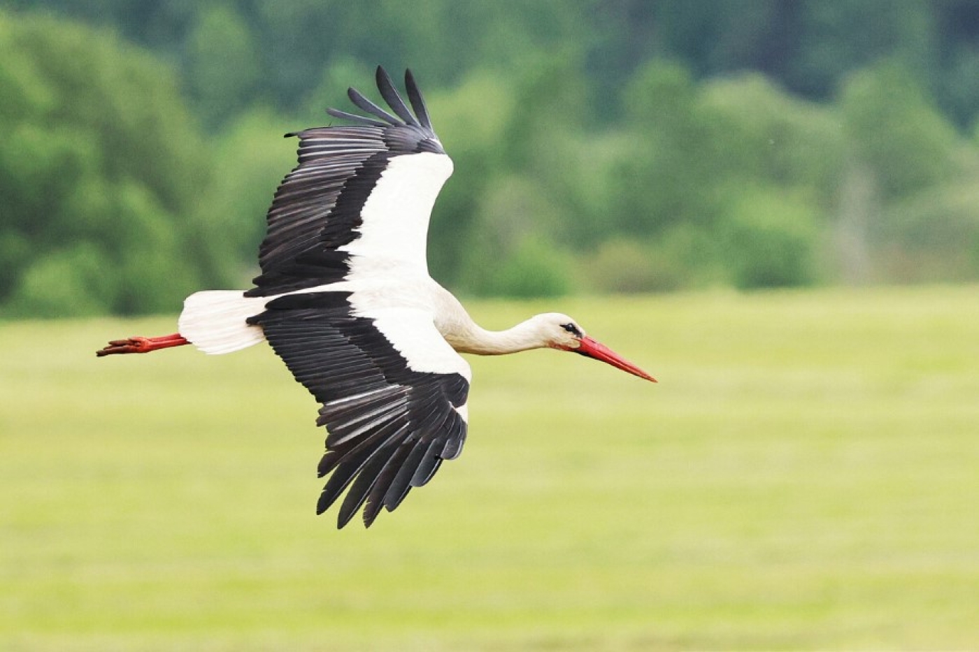 Погода в Беларуси в выходные: дожди, грозы и от +9 °С до +32 °С