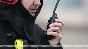 Четыре человека погибли при пожарах в Беларуси за сутки