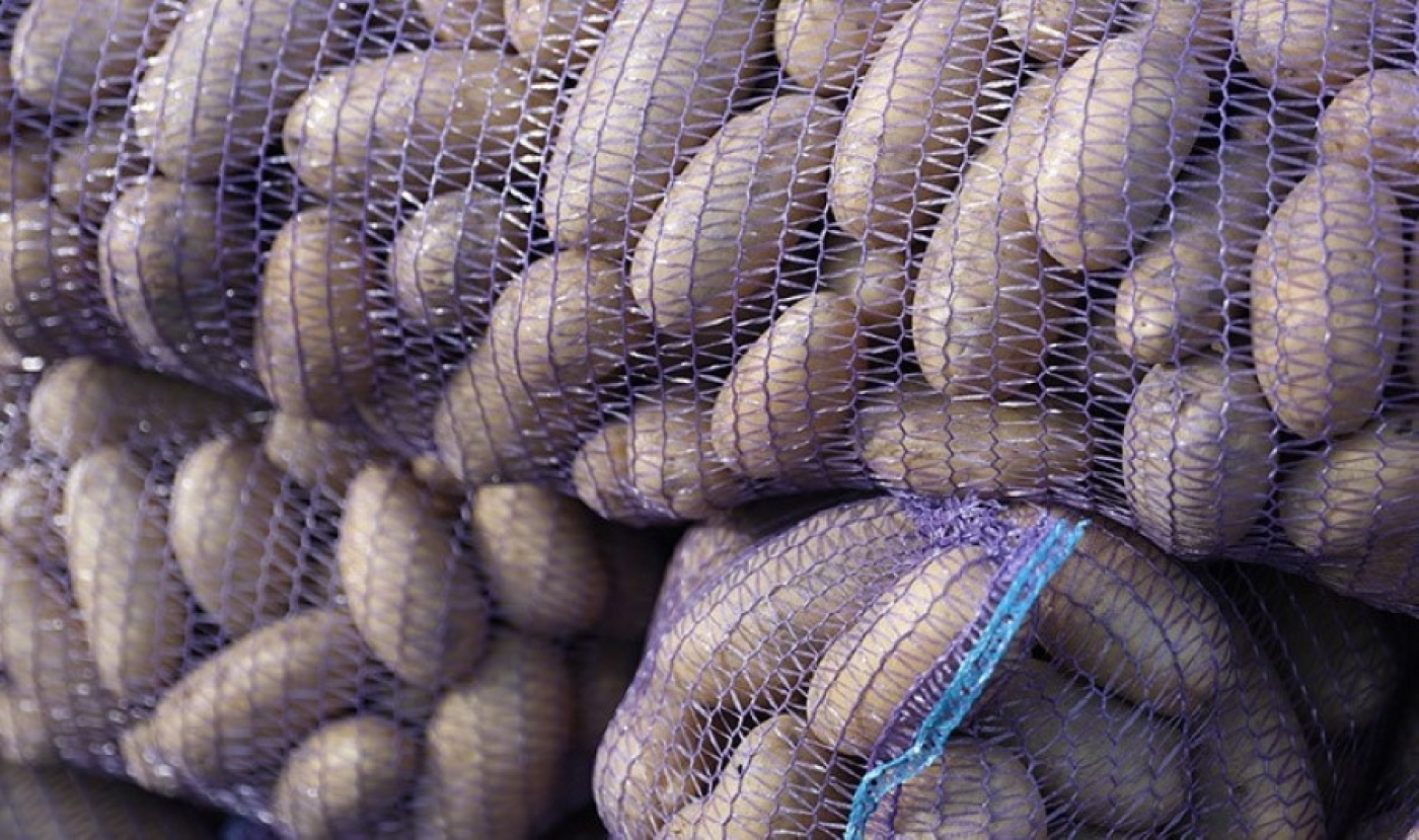 Из стабфондов Минской области использовано 3,9 тыс. тонн картофеля