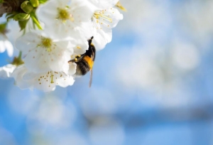 Пик холодов. Синоптики рассказали о погоде в Беларуси на 21-23 апреля