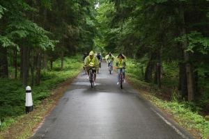 Велопробег "Дорога Памяти" пройдет в Беловежской пуще 4 мая