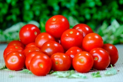 Агроном раскрыл неожиданный продукт для урожая помидоров – попробуйте и вы