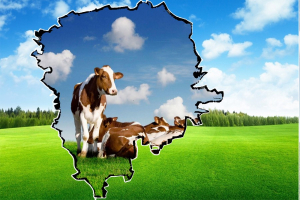 Статистика информирует