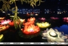 Тысячи фонариков на воде осветили Ботанический сад в Минске