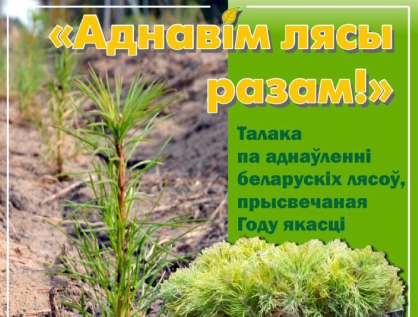 С 23 марта стартует акция «Аднавiм лясы разам!»