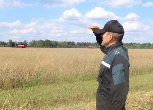 Золото полей – в их руках тоже: в поле дежурят Андрей Воронович и Иван Борисенок