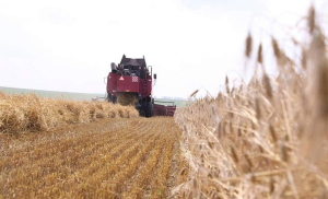 На контроле уборочная кампания