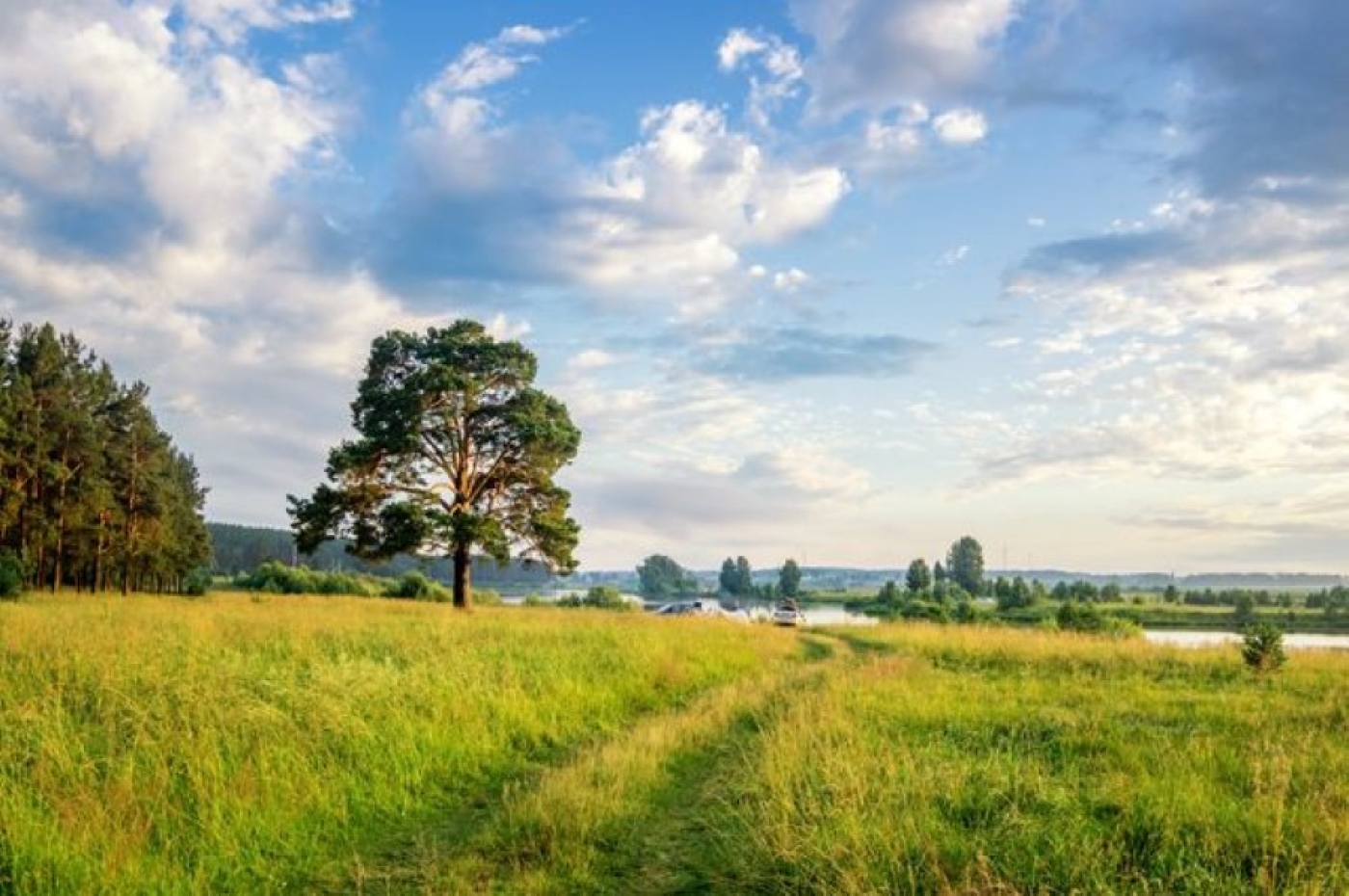 Погода в Беларуси 31 июля: оранжевый уровень опасности из-за гроз и сильных дождей, днем от +17 °С до +26 °С