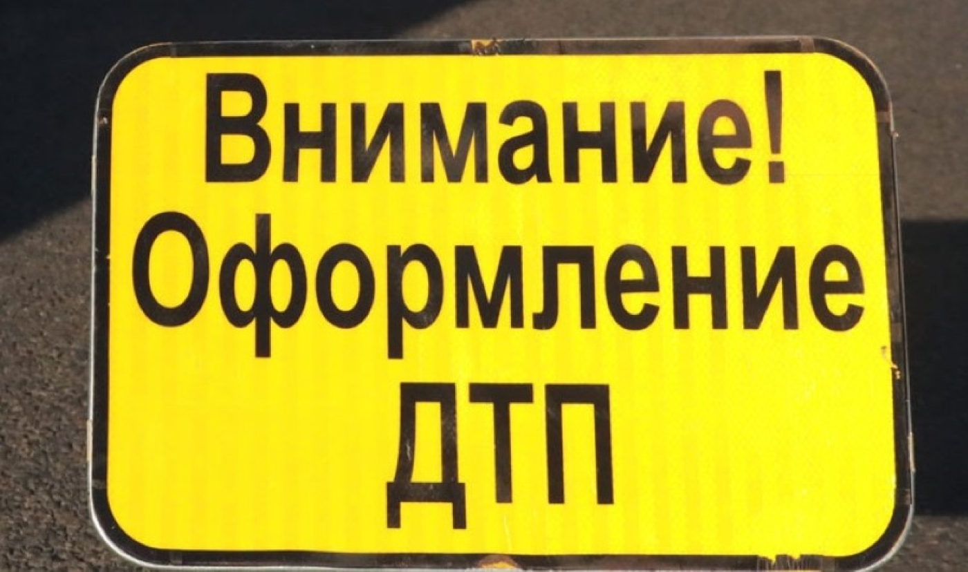 Штрафов нет, но сообщить надо. Что делать, если попали в ДТП с диким животным