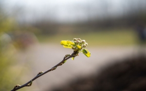 Погода в Беларуси 10 марта: малооблачно, без осадков и от -4 °С ночью до +18 °С днем