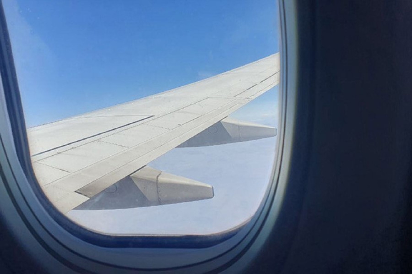 Белорусов вывозят из ОАЭ на доступных авиарейсах