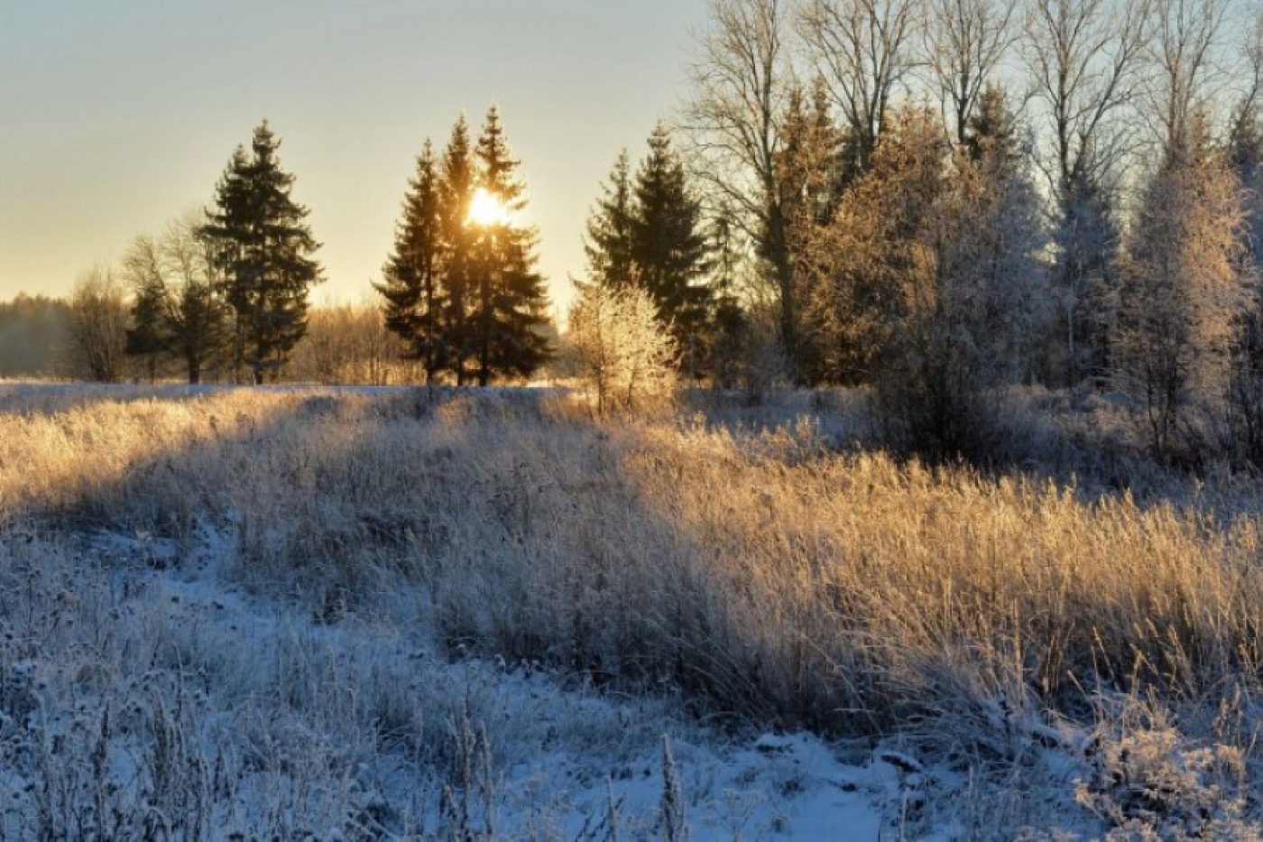 Погода 9 февраля: без осадков, гололед и до -24 °С