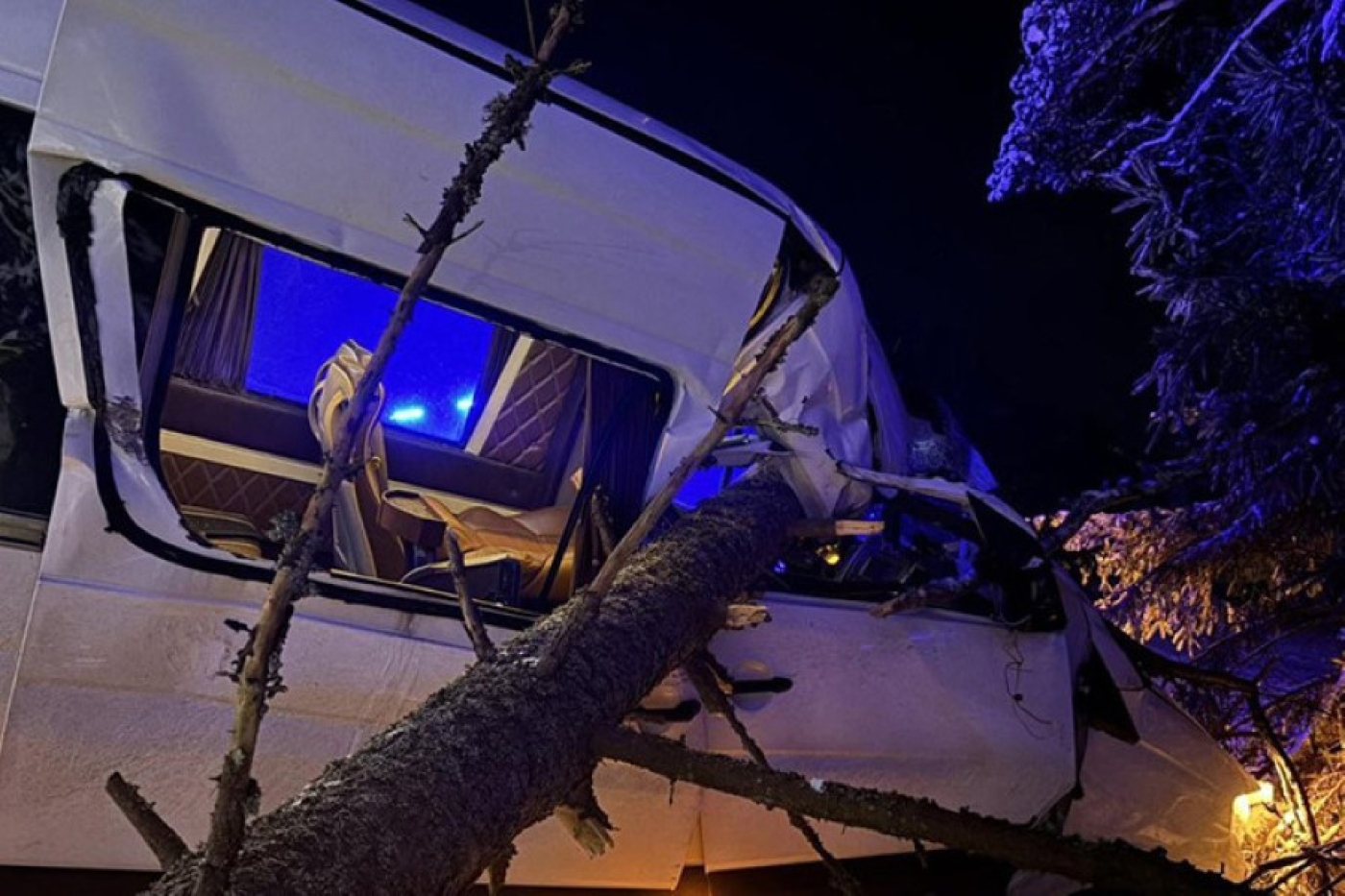 Маршрутка в Вилейском районе вылетела в кювет, наехав на упавшее дерево