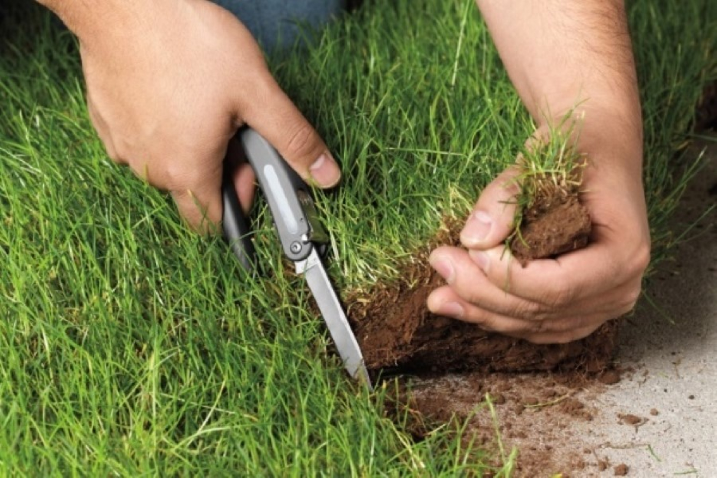 Чем чревато самовольное занятие земельного участка?