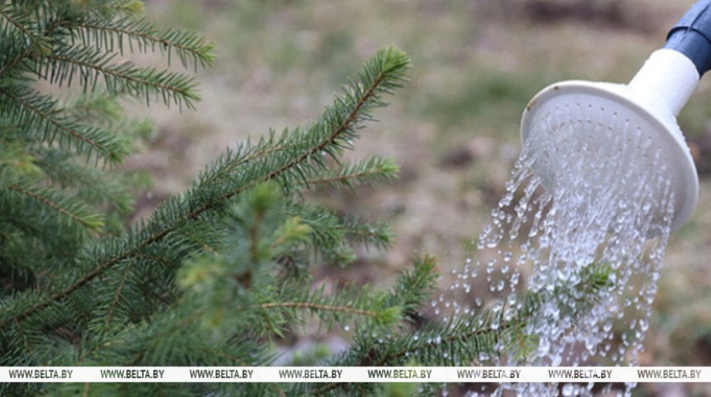 Республиканский субботник проходит сегодня в Беларуси