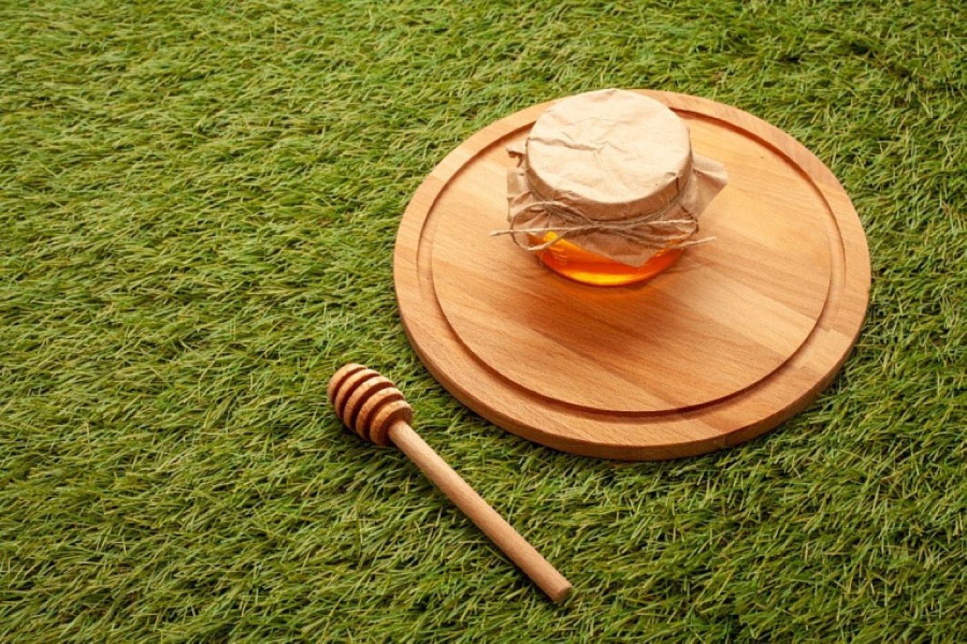 Одна ложка меда – и рассада оживает: проверенный прием дачников