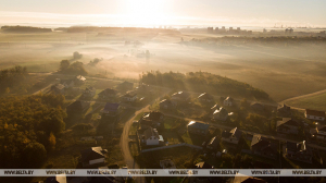 Оранжевый уровень опасности из-за тумана объявлен в Беларуси на 27 октября
