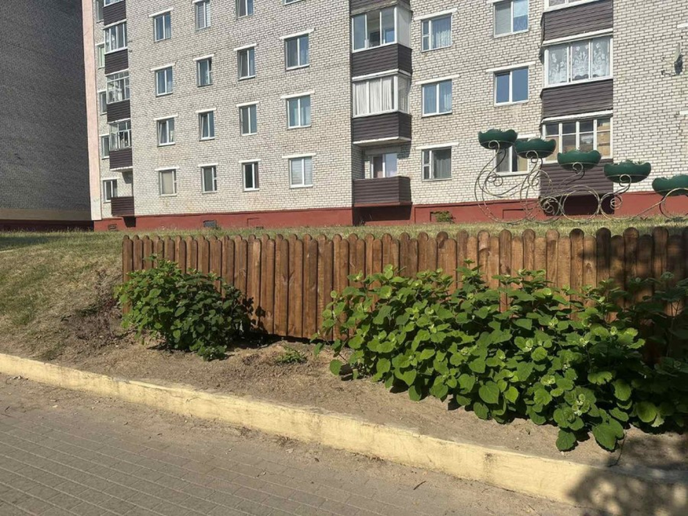 Не рвите цветы!