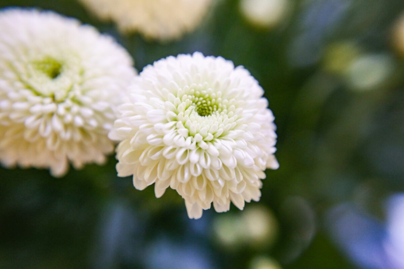 Погода 26 сентября в Беларуси: без осадков, слабый туман и от -5 °С ночью до +18 °С днем