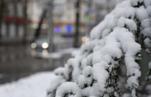 Погода 20 февраля: без существенных осадков и от -18 °С до +1 °С