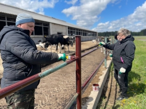 Субботник на МТФ «Положино»