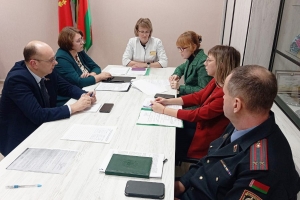В Березино прошло заседание совета по демографической безопасности