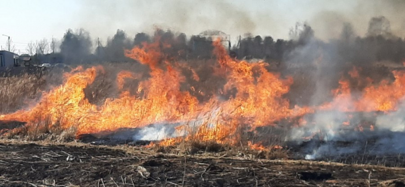 Горит трава, горят дома, страдают люди…