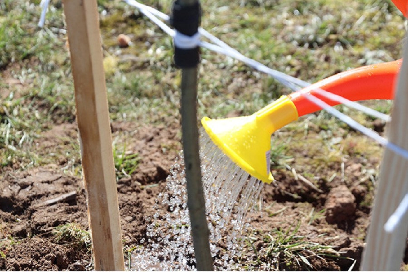 Республиканский субботник пройдет в Беларуси 18 апреля