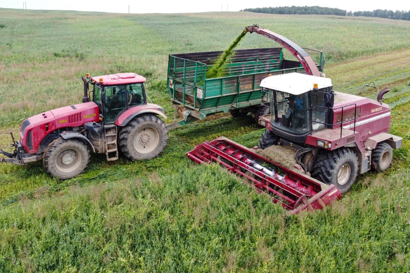 На контроле – заготовка кормов