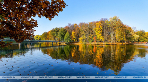 Как меняется климат в Беларуси из-за глобального потепления, рассказали в Белгидромете