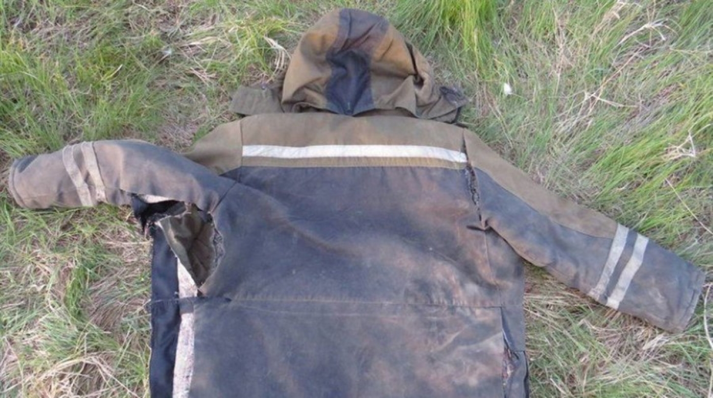 В Речицком районе бык забодал пенсионера