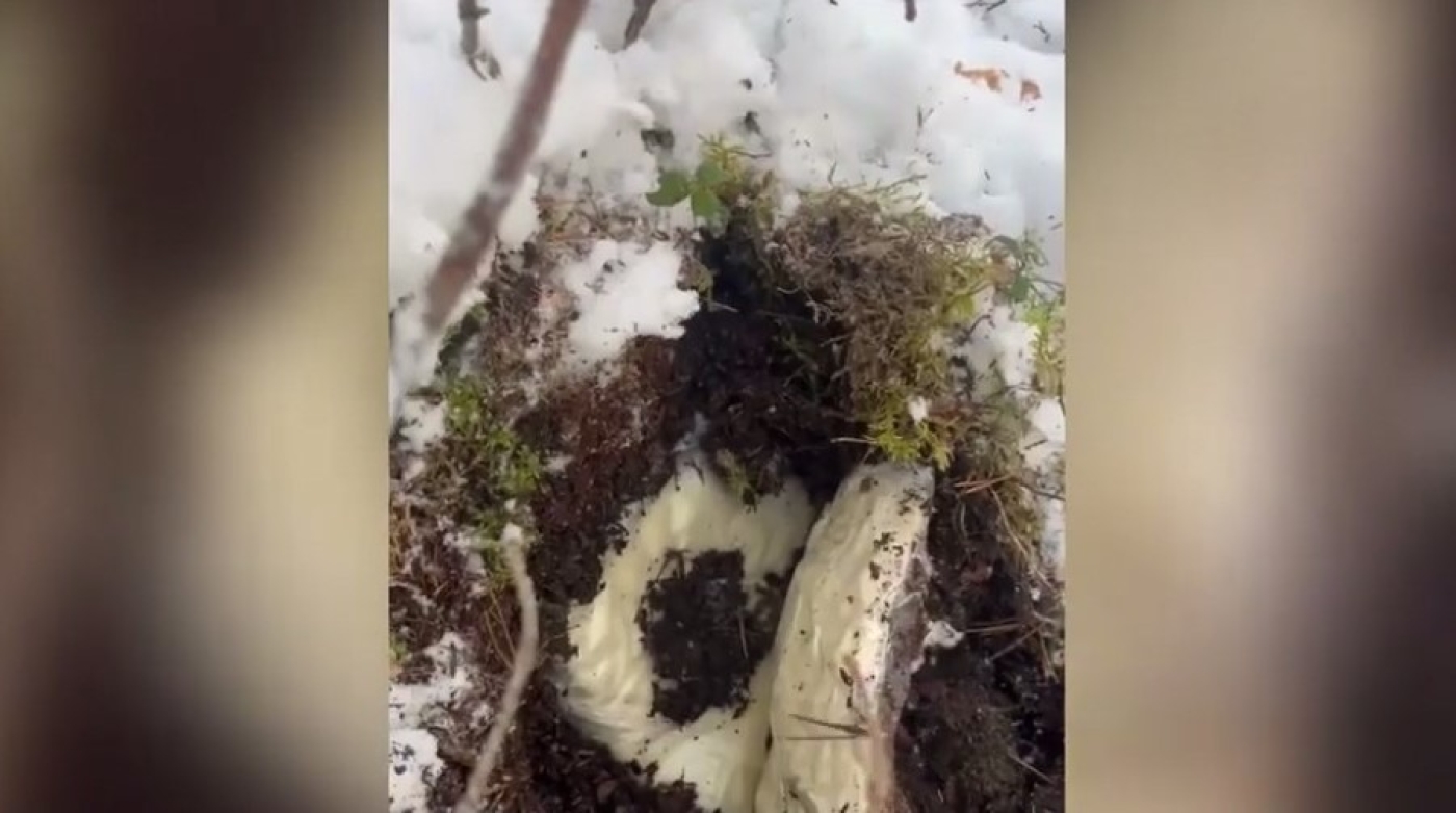 Перекрыт крупный канал поставки психотропов — МВД