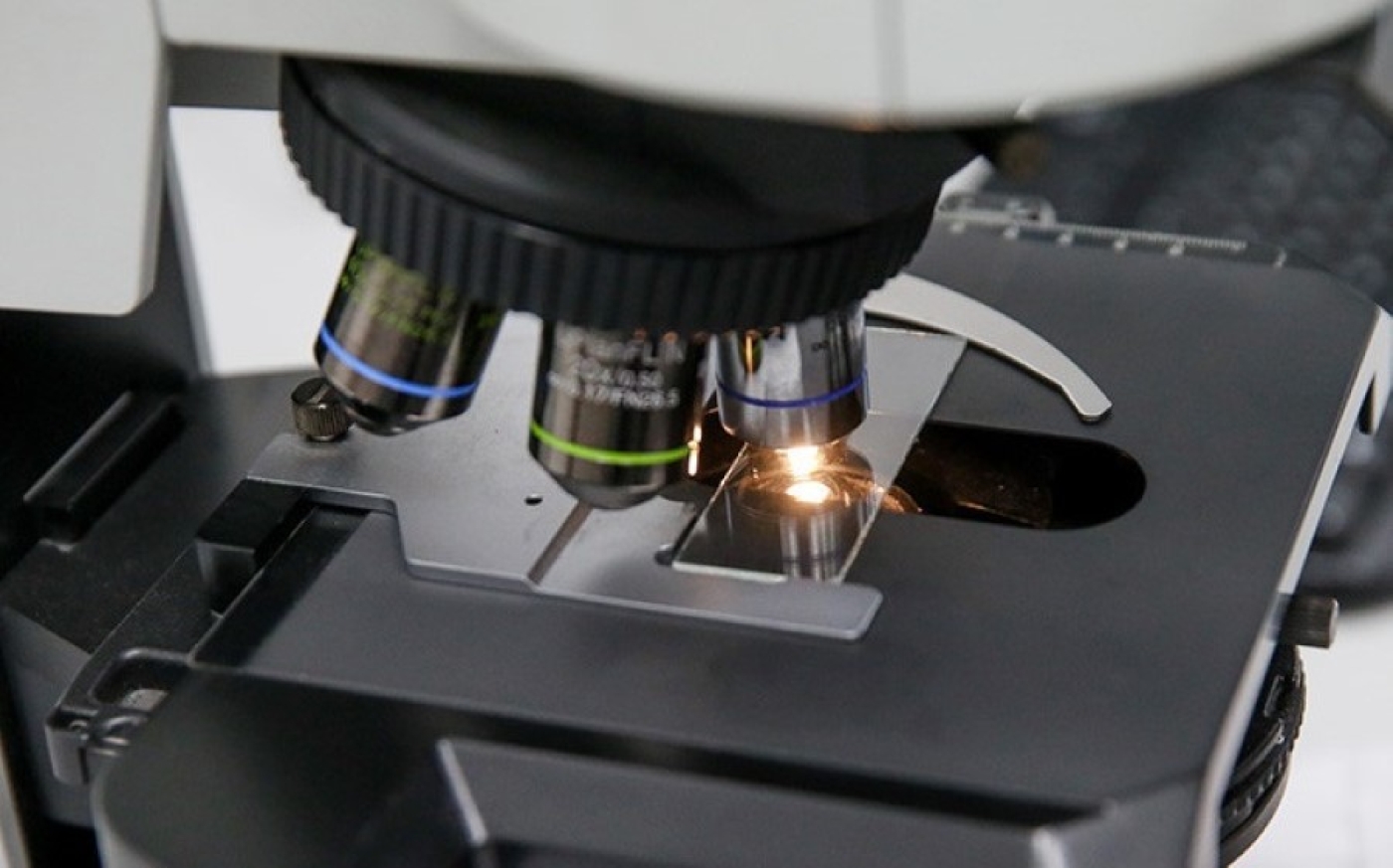 В Беларуси разработали инновационный метод терапии рака крови с помощью клеток пациента