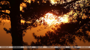 Снег и гололедицу прогнозируют синоптики в Беларуси на 15-20 ноября