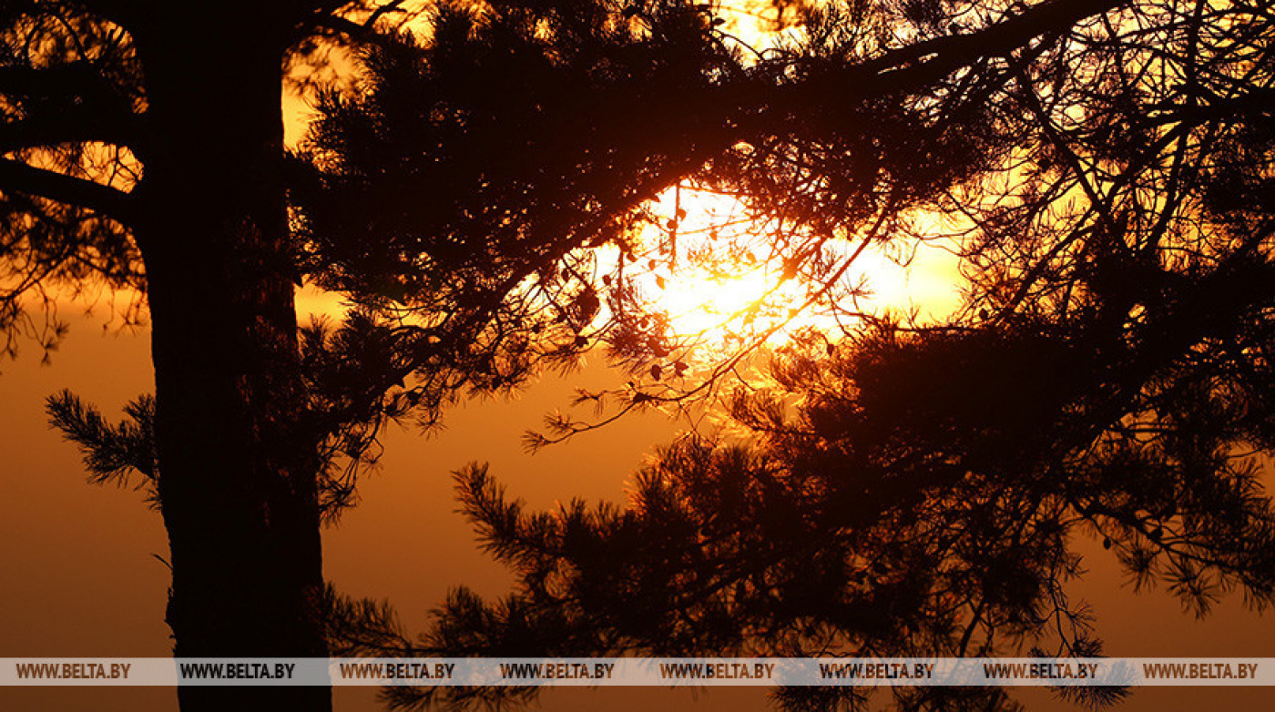 Снег и гололедицу прогнозируют синоптики в Беларуси на 15-20 ноября
